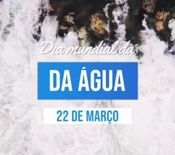 Video DM Agua Post 011 e1774356972328 360x320