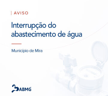 IMG 5940
